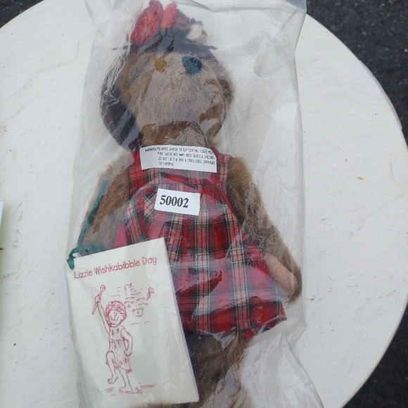 Boyds Bear Lizzie Wishkabibble Day NWT And Small Story Book- sealed original bag - Picture 3 of 5